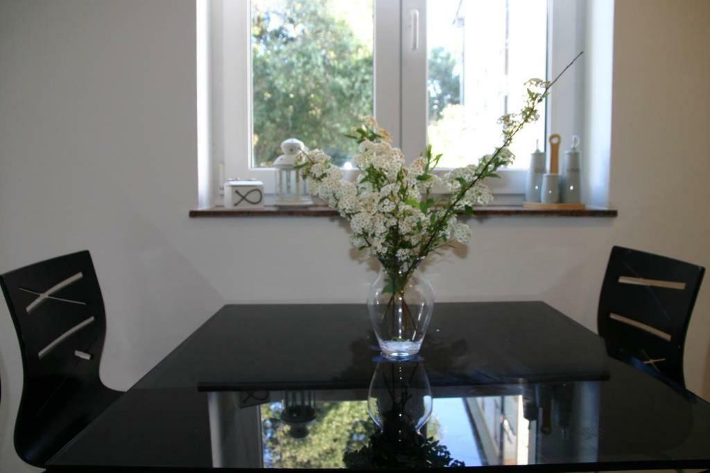 Vicy Apartment Novalja Eksteriør bilde