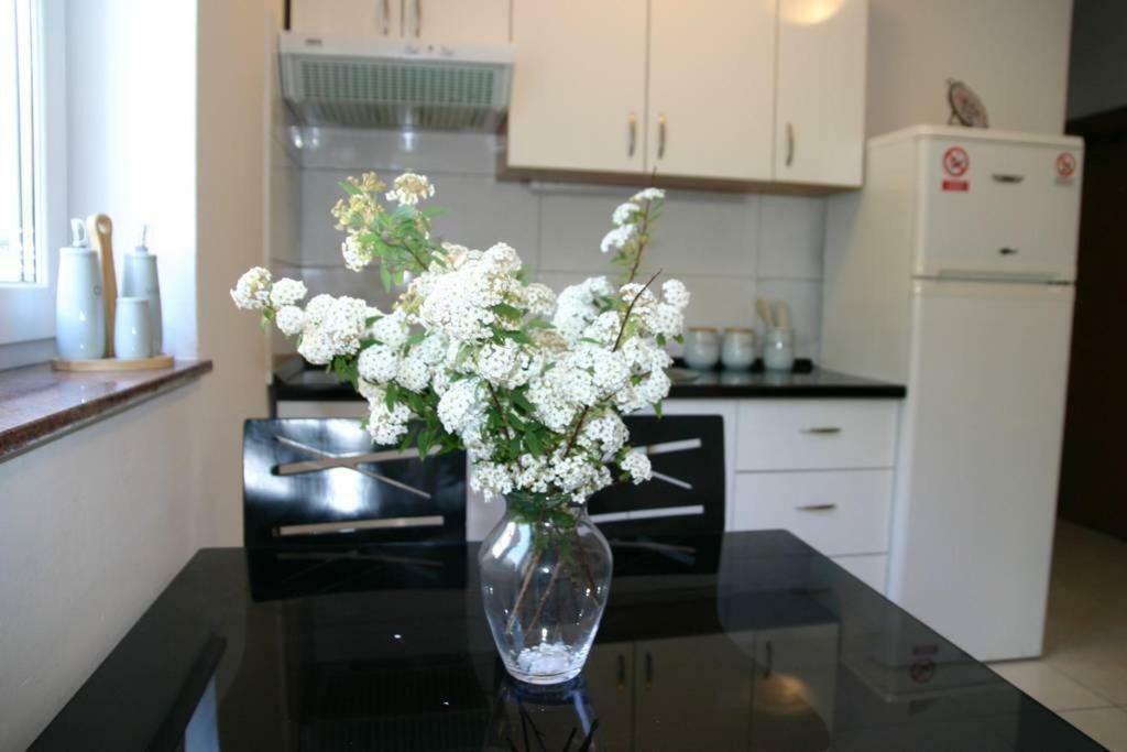 Vicy Apartment Novalja Eksteriør bilde